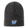 Heathered Knit Beanie Thumbnail