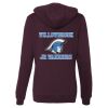 Juniors’ Heavenly Fleece Lightweight Hooded Sweatshirt Thumbnail